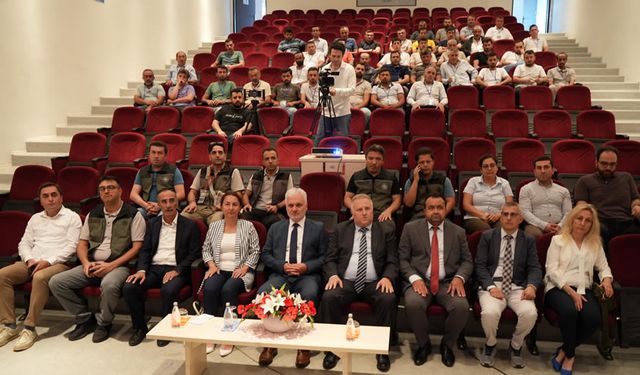 KASTAMONU'DA DEFNE YAPRAĞI ÜRETİMİ 10 KATINA ÇIKARILDI