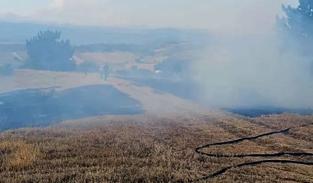 KASTAMONU'DA MEZARLIK YANGINI SÖNDÜRÜLDÜ