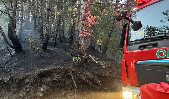 KASTAMONU'DA DÜŞEN YILDIRIM ORMANI YAKTI