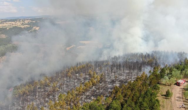 KASTAMONU'DAKİ ORMAN YANGININA HAVADAN VE KARADAN MÜDAHALE