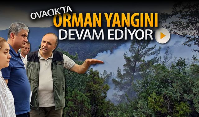 OVACIK'TA ORMAN YANGINI DEVAM EDİYOR