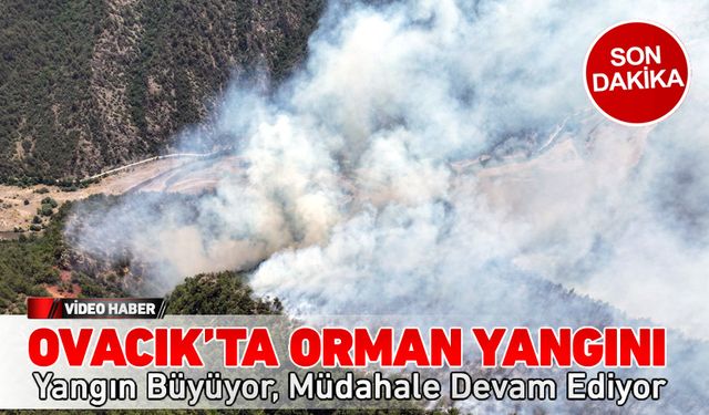 OVACIK'TA ORMAN YANGINI BÜYÜYEREK DEVAM EDİYOR