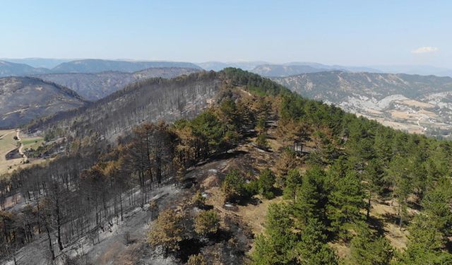 72 SAATLİK YANGINDA ACI MANZARA YEŞİLLİK ALANLAR KÜLE DÖNDÜ