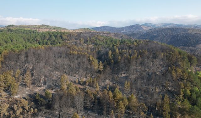 BOLU YANGININDA SÖNDÜRME VE SOĞUTMA ÇALIŞMALARI DEVAM EDİYOR