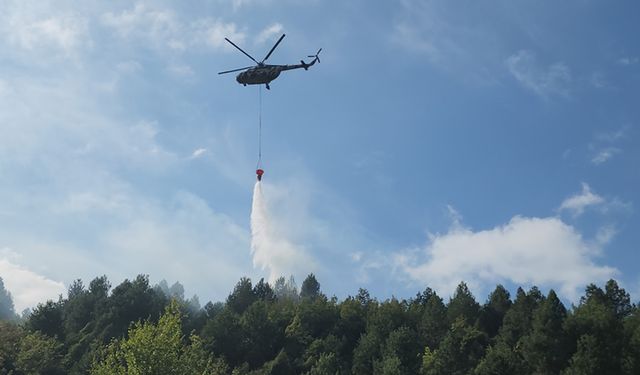 DEVREK'TEKİ ORMAN YANGININDA 22 DÖNÜM ARAZİ ZARAR GÖRDÜ