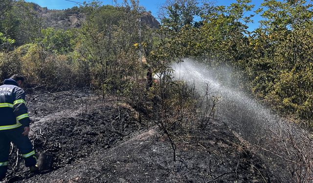 KASTAMONU TOSYA'DA BAĞ EVİNDE ÇIKAN YANGIN SÖNDÜRÜLDÜ