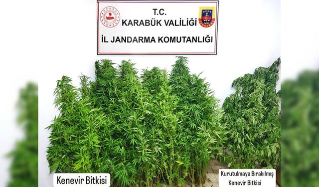 JANDARMADAN KENEVİR OPERASYONU