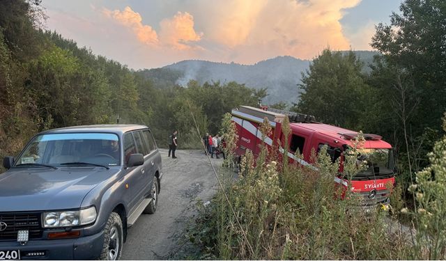 KİLİMLİ'DE ÇIKAN ORMAN YANGINI PANİK YARATTI