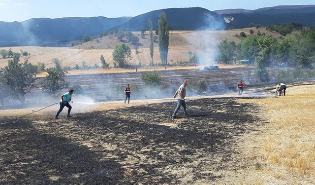 MUDURNU'DA YANGIN BÜYÜMEDEN SÖNDÜRÜLDÜ