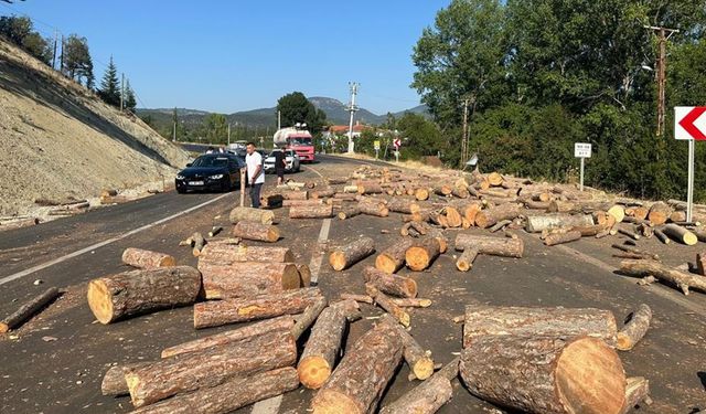 BOLU'DA ODUNLAR YOLA SAÇILDI