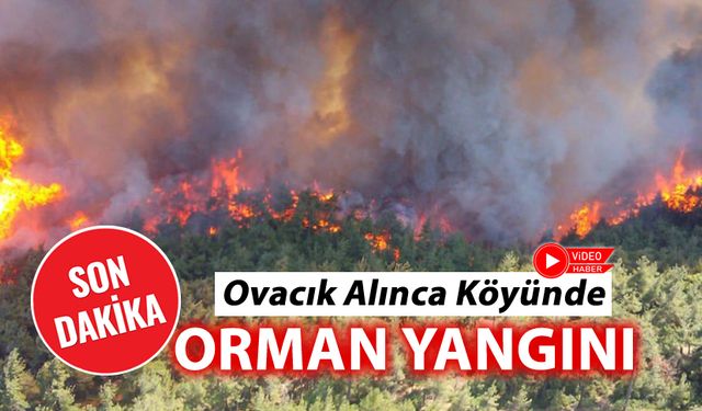 OVACIK'TA ORMAN YANGINI