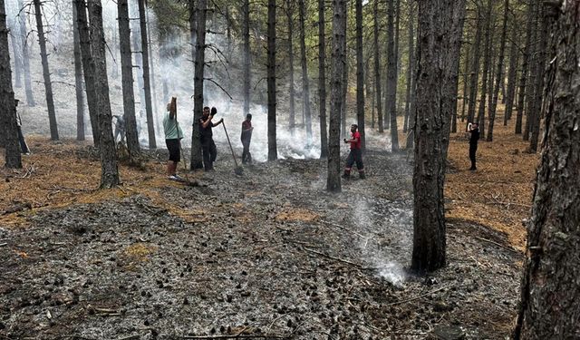 ORMANLIK ALANA DÜŞEN YILDIRIM YANGIN ÇIKARDI