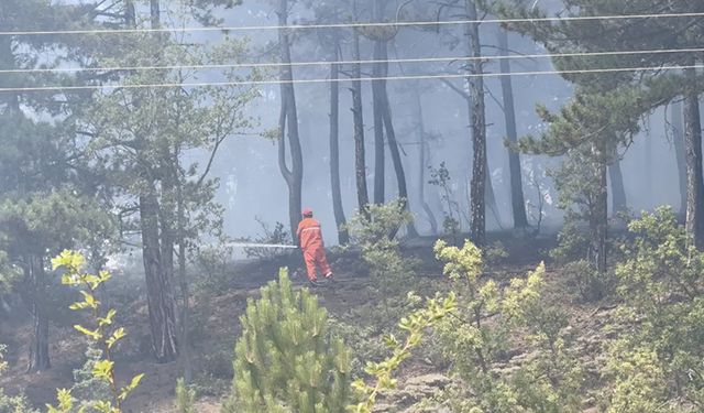 KASTAMONU'DAKİ ORMAN YANGINI SÖNDÜRÜLDÜ