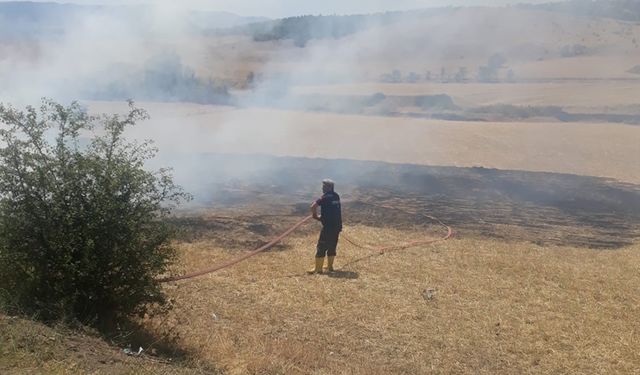 TOSYA'DA ARAZİ YANGININDA 2 DEKAR ALAN ZARAR GÖRDÜ