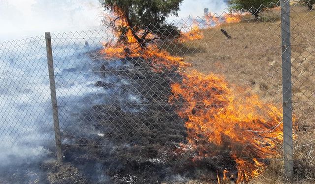 BOLU'DA 4 TARLA, 1 MEZARLIK YANDI