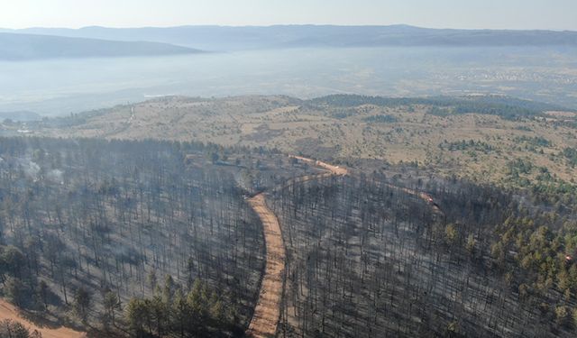 YANGIN SONRASI GÖRÜNTÜLER YÜREKLERİ SIZLATTI