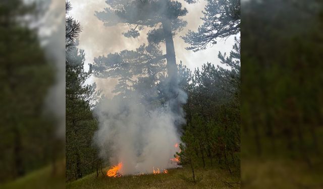 YILDIRIMIN DÜŞTÜĞÜ ORMANDA YANGIN ÇIKTI