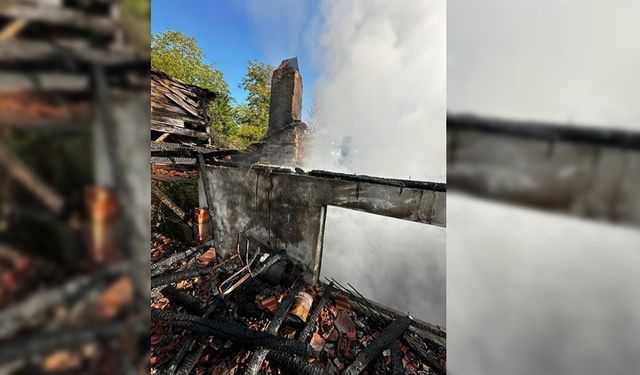 ZONGULDAK'IN DEVREK İLÇESİNDE KORKUTAN YANGIN