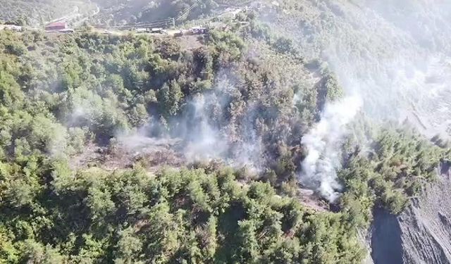 ZONGULDAK'TA FINDIK TARLASINDA ÇIKAN YANGIN ARAZİYE SIÇRADI