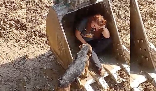 DEREYE DÜŞEN KÖPEK KURTARILDI