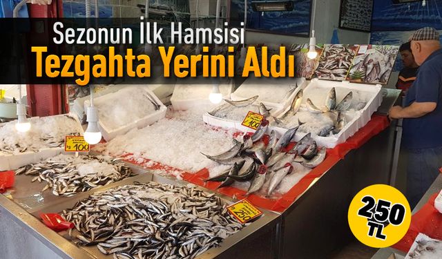 KARABÜK'TE SEZONUN İLK HAMSİSİ "250 TL"