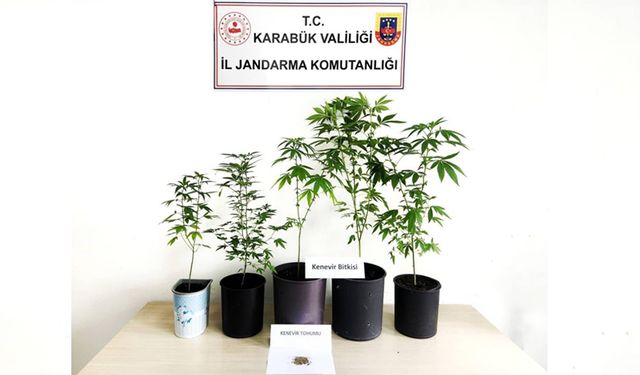 JANDARMADAN ZEHİRE GEÇİT YOK