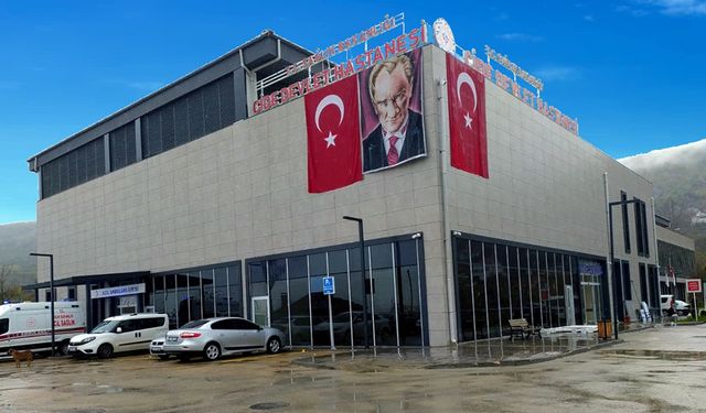 KASTAMONU'DA AĞAÇTAN DÜŞEN KADIN HAYATINI KAYBETTİ