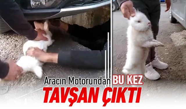 MOTORDAN BU KEZ KEDİ DEĞİL TAVŞAN ÇIKTI