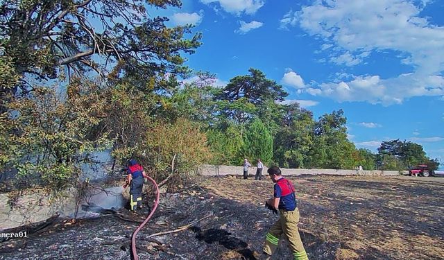 MEZARLIKTA ÇIKAN ÖRTÜ YANGINI SÖNDÜRÜLDÜ