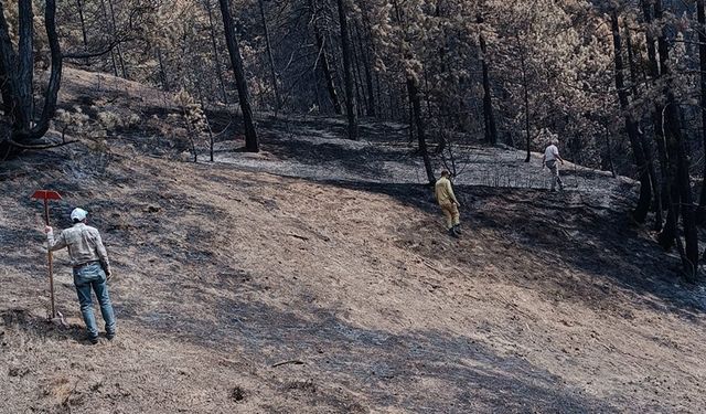 TARİHİNİN EN BÜYÜK YANGININI YAŞAN BOLU YARALARINI SARIYOR