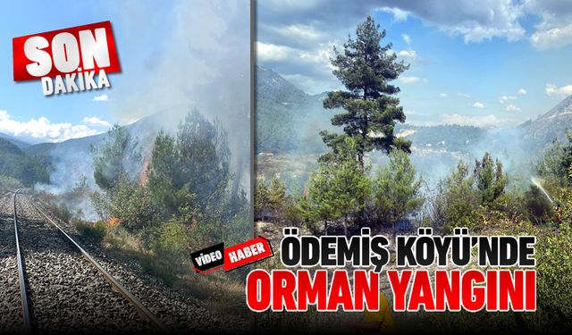 ÖDEMİŞ KÖYÜ CİVARINDA ORMAN YANGINI