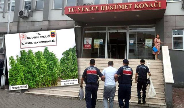 YENİCE'DEKİ OPERASYONLARDA 2 TUTUKLAMA, 5 GÖZALTI