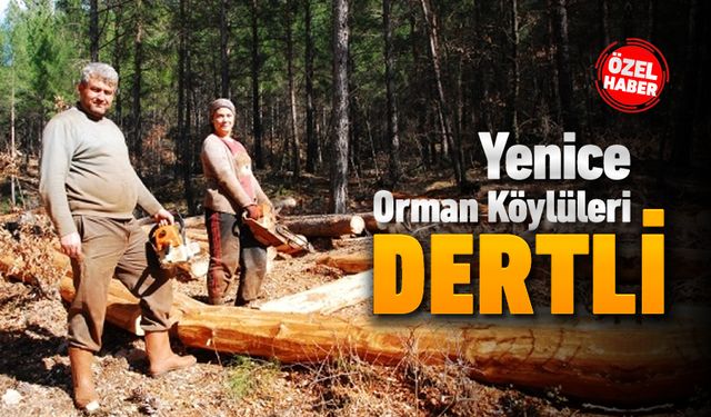 YENİCE ORMAN KÖYLÜLERİ SORUNLARIN GİDERİLMESİNİ BEKLİYOR