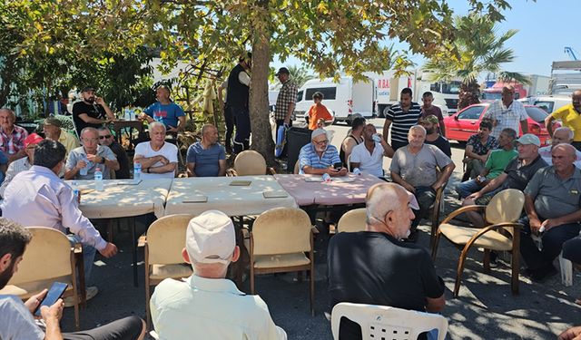 ZONGULDAK'TA SU ÜRÜNLERİ AV SEZONU AÇILDI