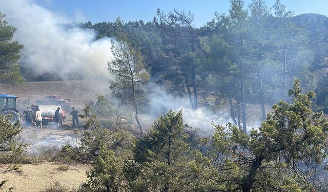 BOLU GÖYNÜK'TE OT YANGINI BÜYÜMEDEN SÖNDÜRÜLDÜ