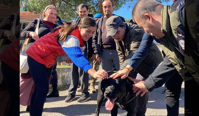 EĞİTİMLİ JANDARMA KÖPEKLERİNDEN GÖSTERİ