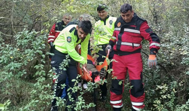 MANTAR TOPLARKEN AYAĞINI KIRAN KADINI EKİPLER KURTARDI