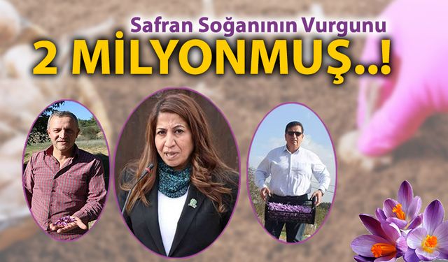 SAFRAN SOĞANIN DA VURGUNUN BOYUTU İKİ MİLYONMUŞ..!