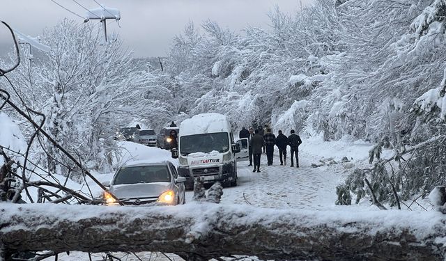 BOLU'DA TATİLCİLER KARLI HAVADA 1 SAAT MAHSUR KALDI