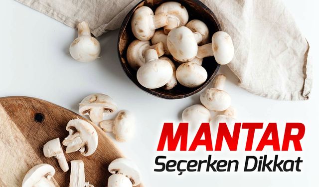 MANTAR SEÇERKEN DİKKAT !