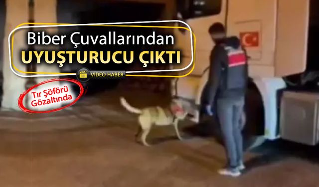 BİBER ÇUVALLARINDAN UYUŞTURUCU ÇIKTI