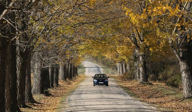 YENİ EVLENEN ÇİFTLERİN UĞRAK NOKTASI "AŞIKLAR YOLU"