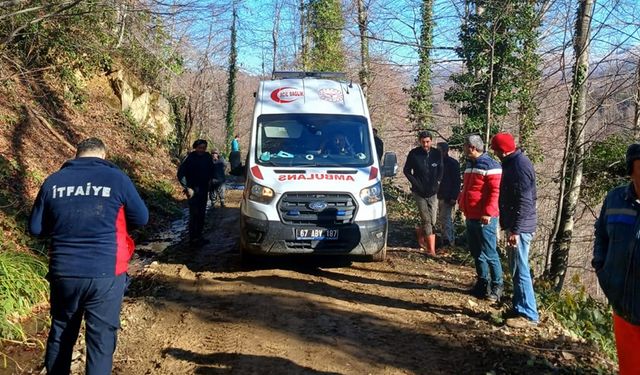 ALAPLI'DA ÜZERİNE TOMRUK DEVRİLEN ORMAN İŞÇİSİ YARALANDI