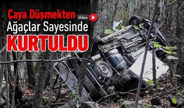 FİLYOS ÇAYI'NA DÜŞMEKTEN AĞAÇLARIN SAYESİNDE KURTULDU