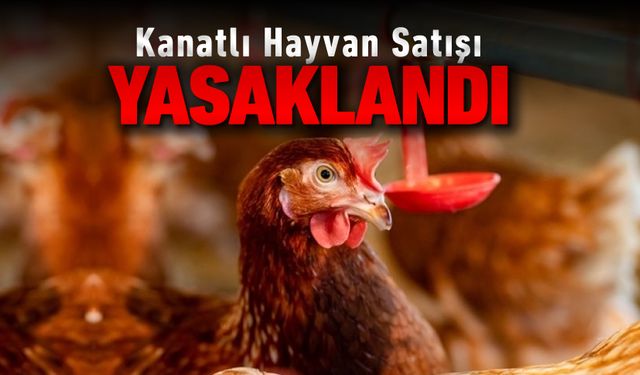 KANATLI HAYVAN SATIŞI YASAKLANDI