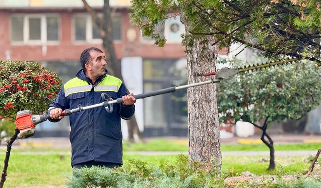 KARABÜK'TE PEYZAJ ÇALIŞMALARI SÜRÜYOR