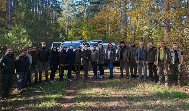 KASTAMONU'DA YABAN HAYATI ENVANTERİ TAMAMLANDI