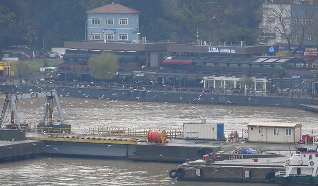 TOPRAK VE ÇAMURLAR ZONGULDAK LİMANI SARIYA BOYADI