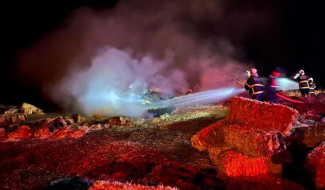 TOSYA'DA SAMAN BALYALARI ALEVLERE TESLİM OLDU