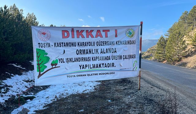 DOĞAL IŞIKLANDIRMA SAYESİNDE YOLLAR DAHA GÜVENLİ OLACAK